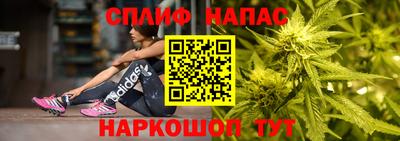 стаф Пугачёв