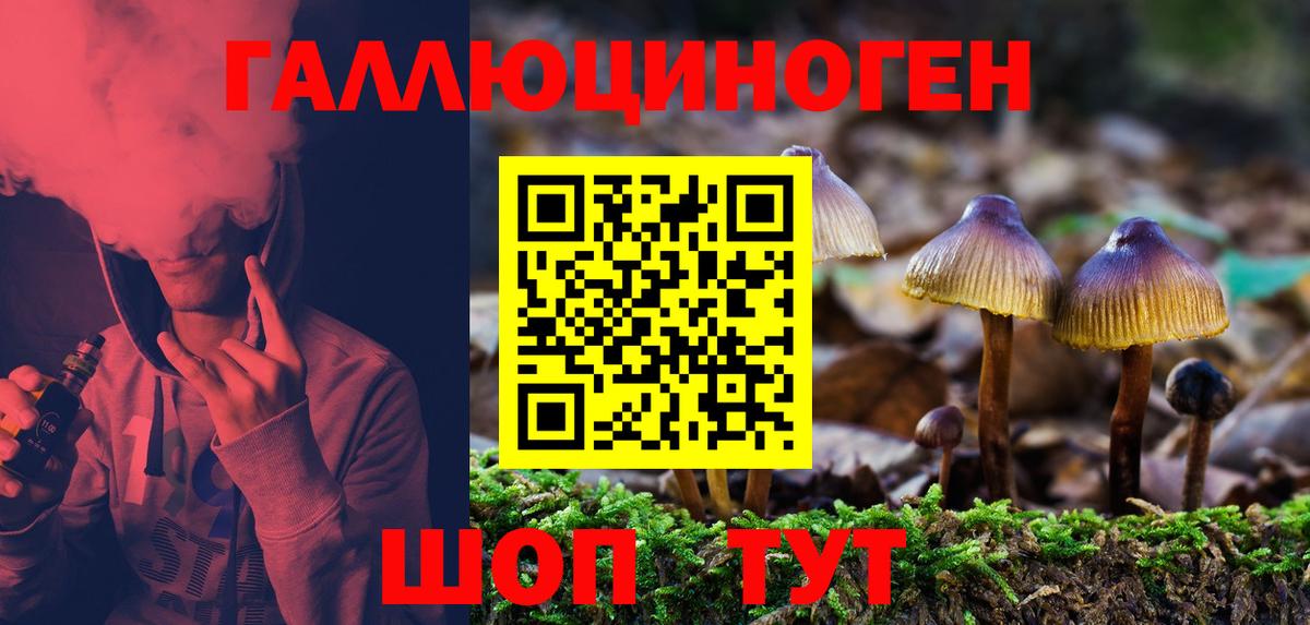 Псилоцибиновые грибы прущие грибы Среднеуральск