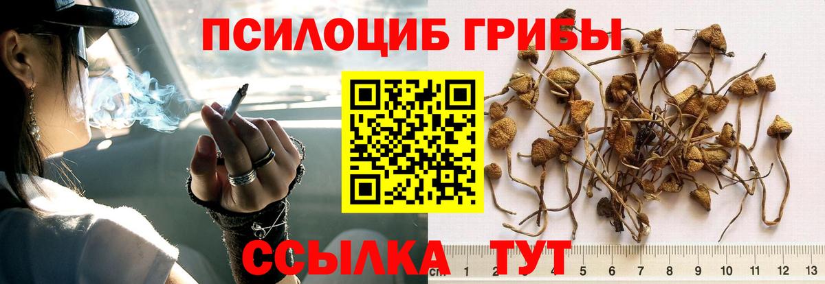 Псилоцибиновые грибы GOLDEN TEACHER  Вход с VPN  Псилоцибиновые грибы мухоморы  Среднеуральск 